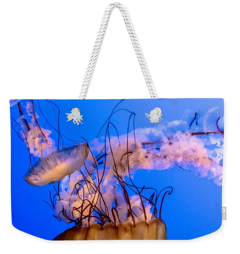 Deep Weekender Tote Bag featuring the photograph Jelly Fish by Cheryl Baxter
