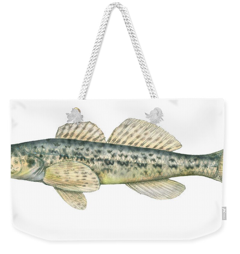 Johnny Darter Weekender Tote Bag featuring the photograph Johnny Darter by Carlyn Iverson