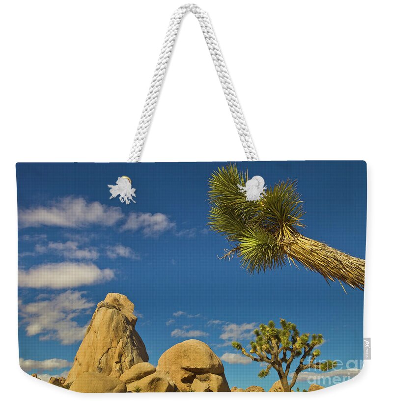 00559180 Weekender Tote Bag featuring the photograph Joshua Tree Rocks And Sky by Yva Momatiuk John Eastcott