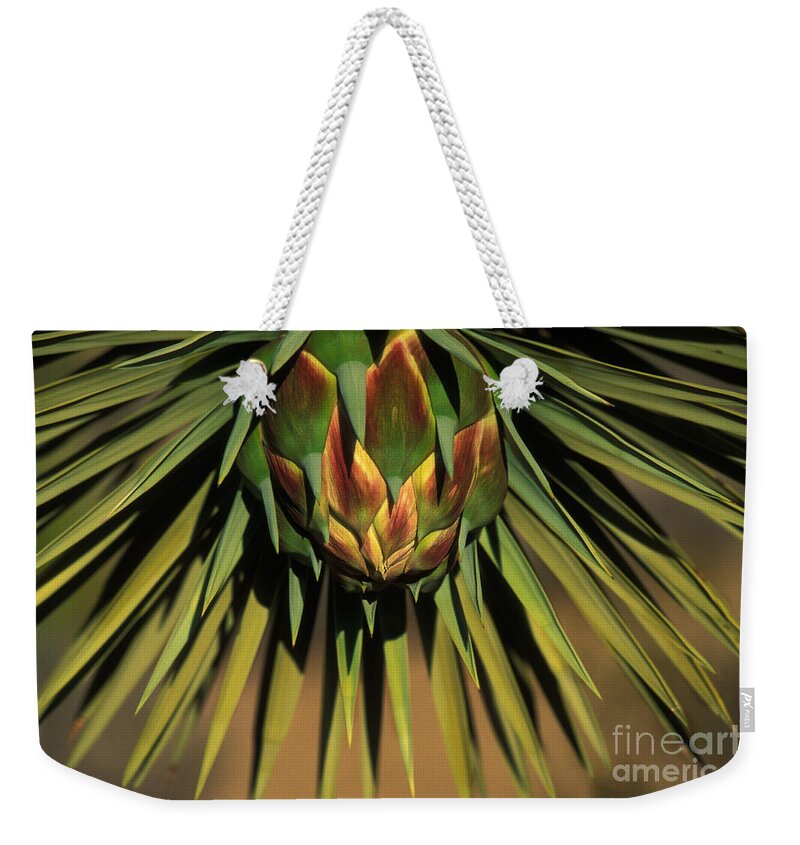 Desert Tree Weekender Tote Bag featuring the photograph Joshua Tree Flower Bud by Ron Sanford