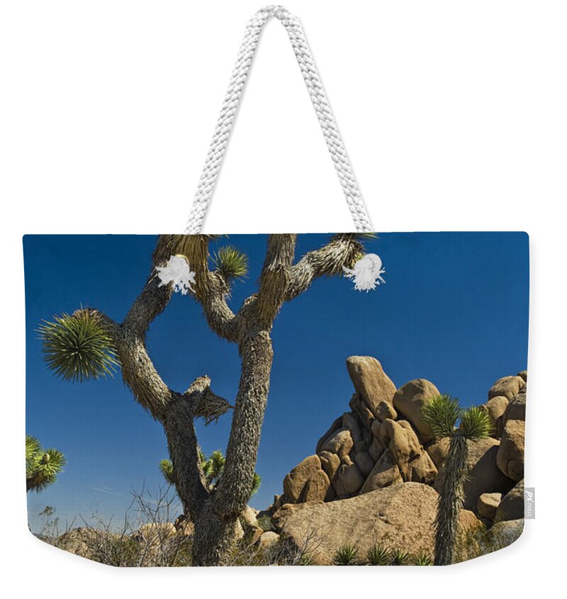 California Weekender Tote Bag featuring the photograph California Joshua Trees in Joshua Tree National Park by the Mojave Desert by Randall Nyhof