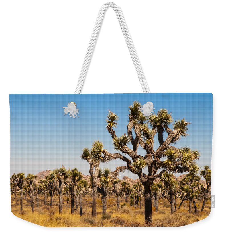 Joshua Tree Weekender Tote Bag featuring the photograph Joshua Trees by Penny Lisowski