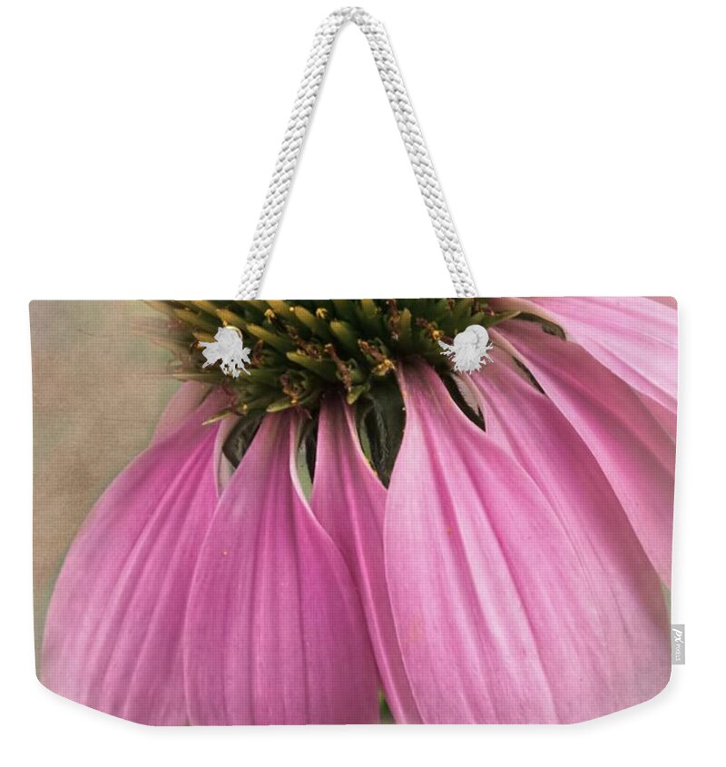 Coneflower Weekender Tote Bag featuring the photograph June Coneflower by Melissa Bittinger