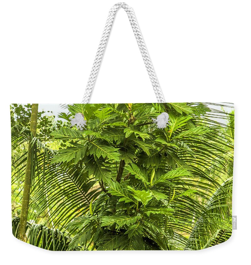 Yellow Weekender Tote Bag featuring the photograph Jungle and Rice Field by Gina Koch
