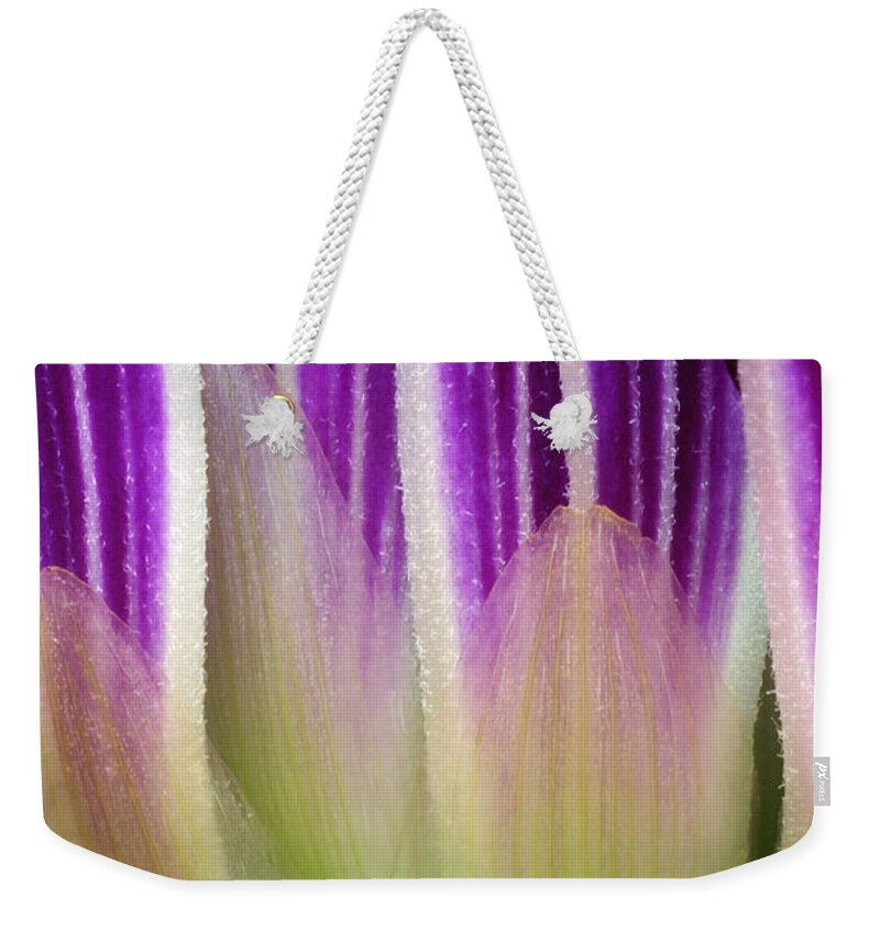 Just A Dahlia 1 Weekender Tote Bag featuring the photograph Just A Dahlia 1 by Wendy Wilton