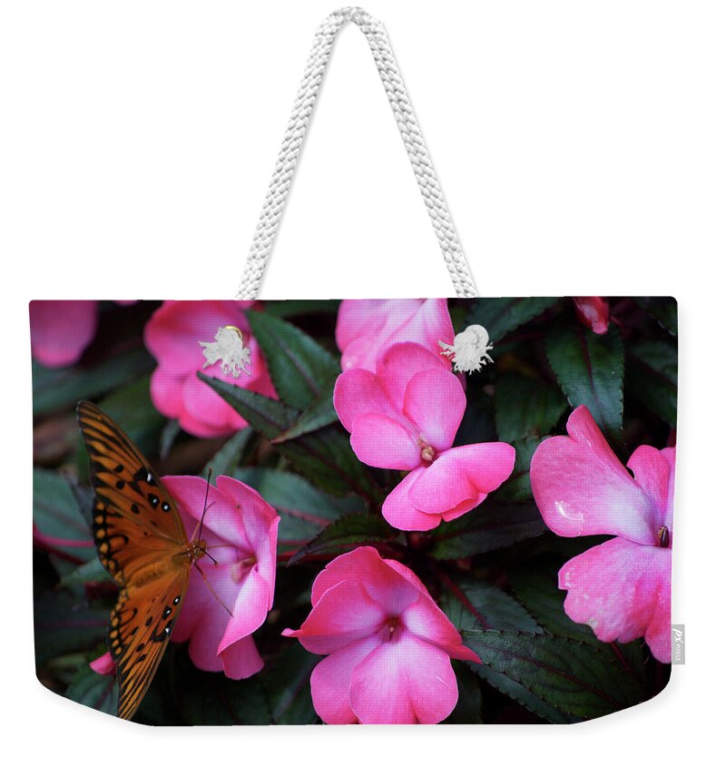 Il Weekender Tote Bag featuring the photograph Just A Small Taste for this Butterfly by Thomas Woolworth