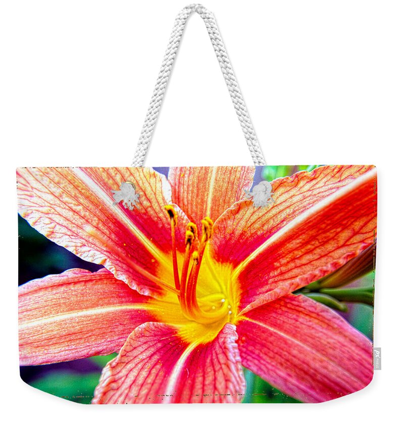 Lily's Photographs Weekender Tote Bag featuring the photograph Just another Day Lilly by Mayhem Mediums