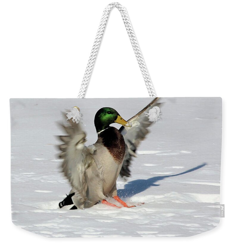 Mallard Weekender Tote Bag featuring the photograph Just Like Skiing by Karol Livote