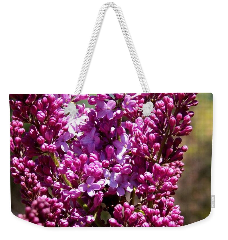 Lilac Photograph Weekender Tote Bag featuring the photograph New Hampshire Lilac Just Opening by Eunice Miller