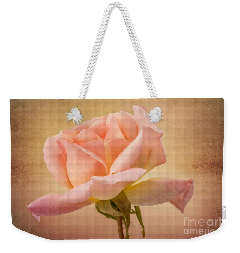 Clare Bambers Weekender Tote Bag featuring the photograph Just Peachy by Clare Bambers