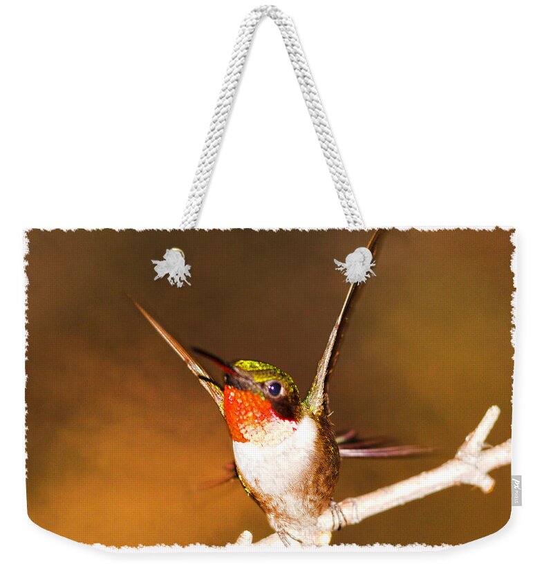 Just Stunning Weekender Tote Bag featuring the photograph Just Stunning by Randall Branham