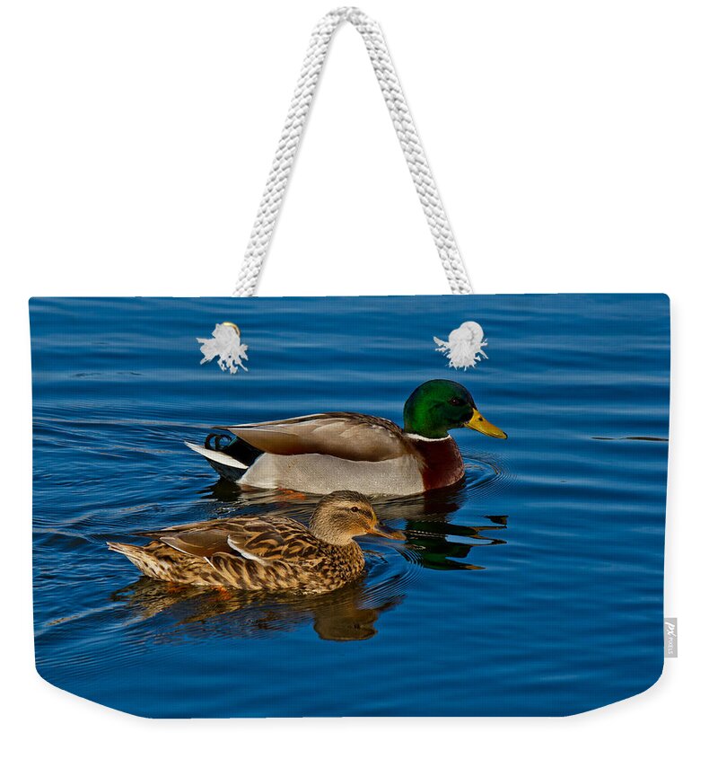 Green Weekender Tote Bag featuring the photograph Just Swimming Along by Doug Long