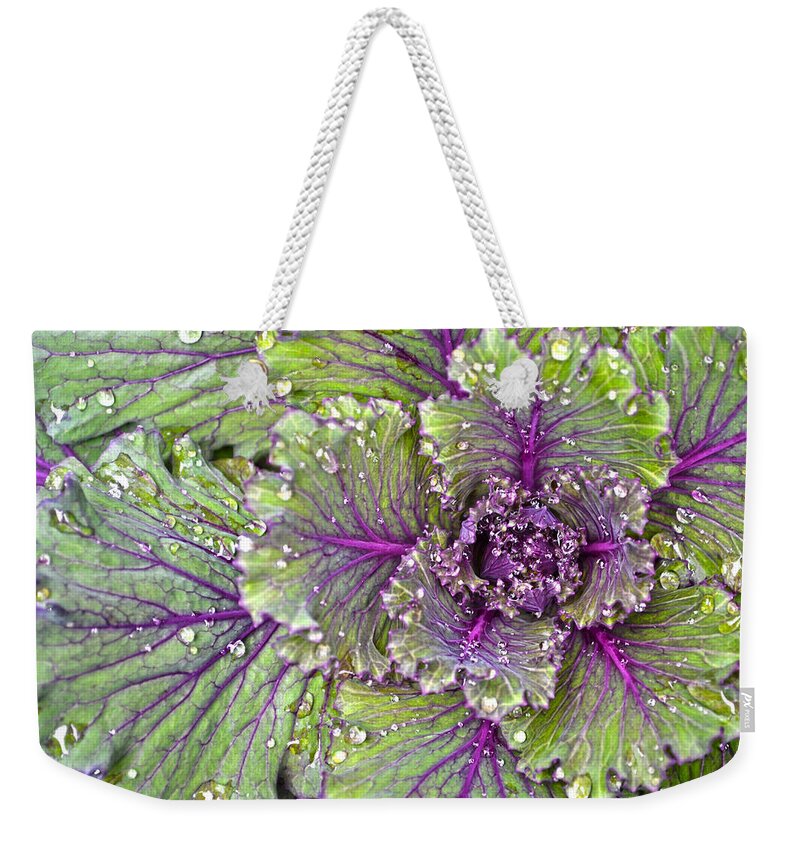 Kale Weekender Tote Bag featuring the photograph Kale Plant In The Rain by Sandi OReilly
