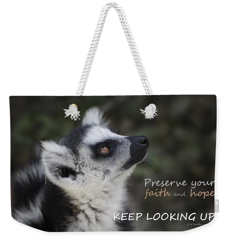 Keep Looking Up Weekender Tote Bag featuring the photograph Keep looking up by Liz Leyden