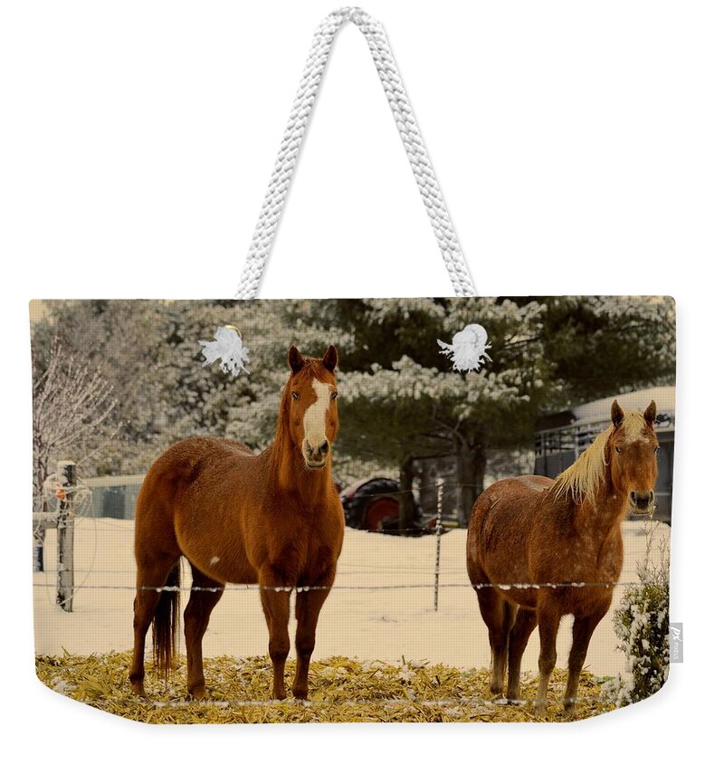 Horse Weekender Tote Bag featuring the photograph Keeping Warn by Bonfire Photography