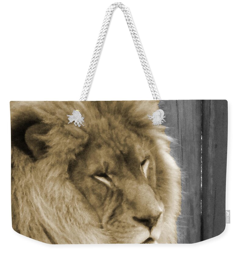 Lion Weekender Tote Bag featuring the photograph King in Sepia 2 by Phillip W Strunk