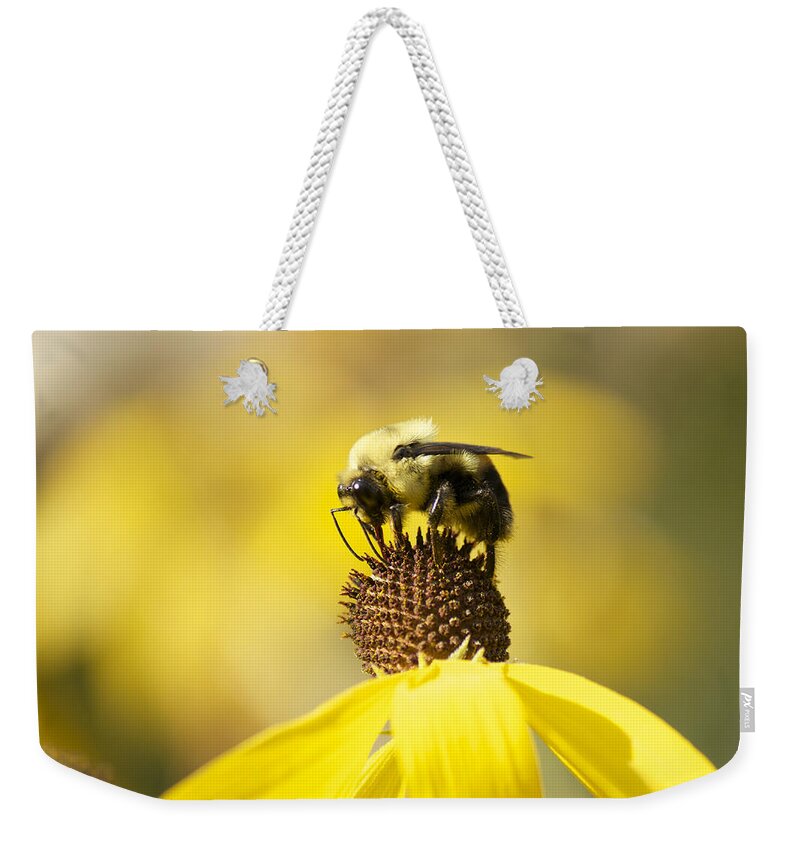 Bee Weekender Tote Bag featuring the photograph King of the Coneflower by Penny Meyers