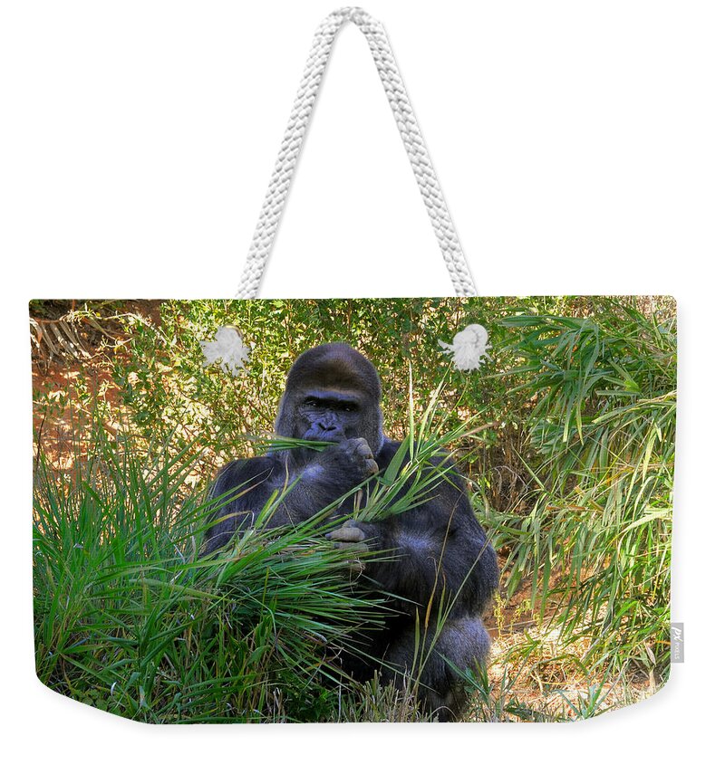 Gorilla Weekender Tote Bag featuring the photograph King Of The Mountain by Kathy Baccari