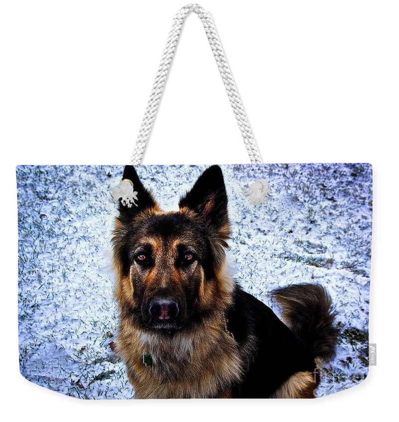 King Weekender Tote Bag featuring the photograph King Shepherd Dog by Frank J Casella