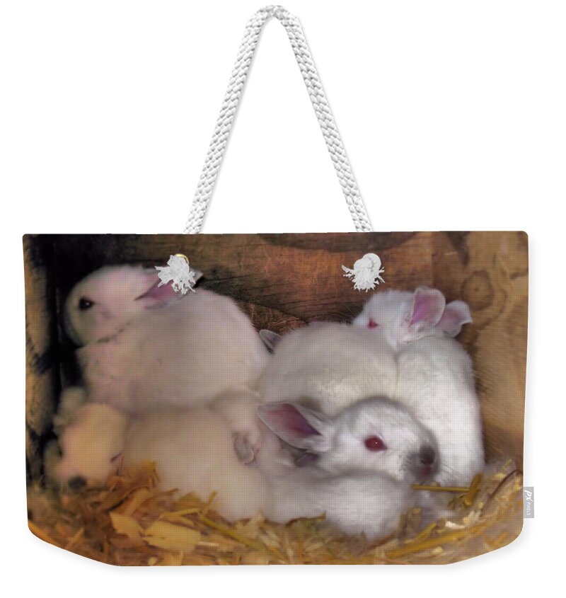 Rabbits Weekender Tote Bag featuring the photograph Kits In A Box by Joyce Dickens