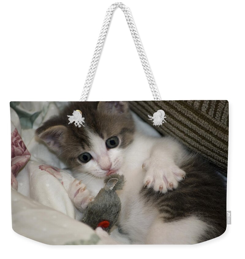Animals Weekender Tote Bag featuring the photograph Kitty Claws by Thomas Woolworth