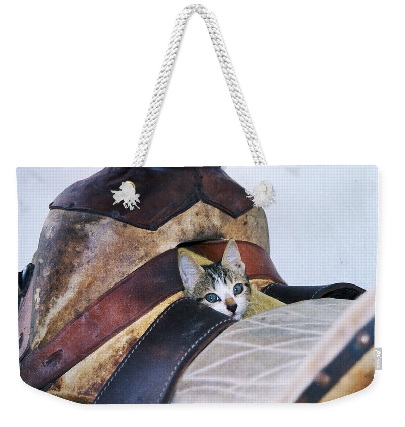 Cat Weekender Tote Bag featuring the photograph Kitty in the Saddle by Kae Cheatham