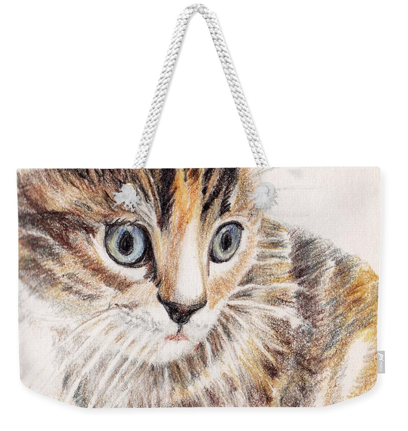 Cats Weekender Tote Bag featuring the painting Kitty Kat Iphone Cases Smart Phones Cells And Mobile Cases Carole Spandau Cbs Art 345 by Carole Spandau