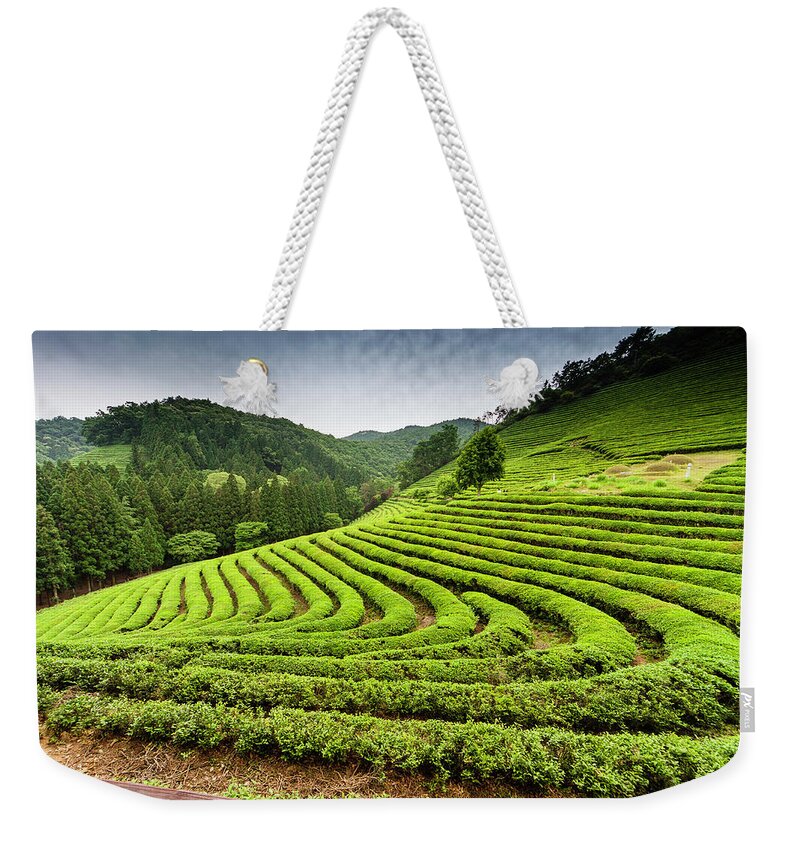 Jeollanam-do Weekender Tote Bag featuring the photograph Korean Tea Plantation by Thomas Arthur