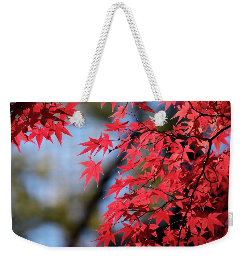 Outdoors Weekender Tote Bag featuring the photograph Koyo Leaves In Kyoto, Japan by Daniel Chui