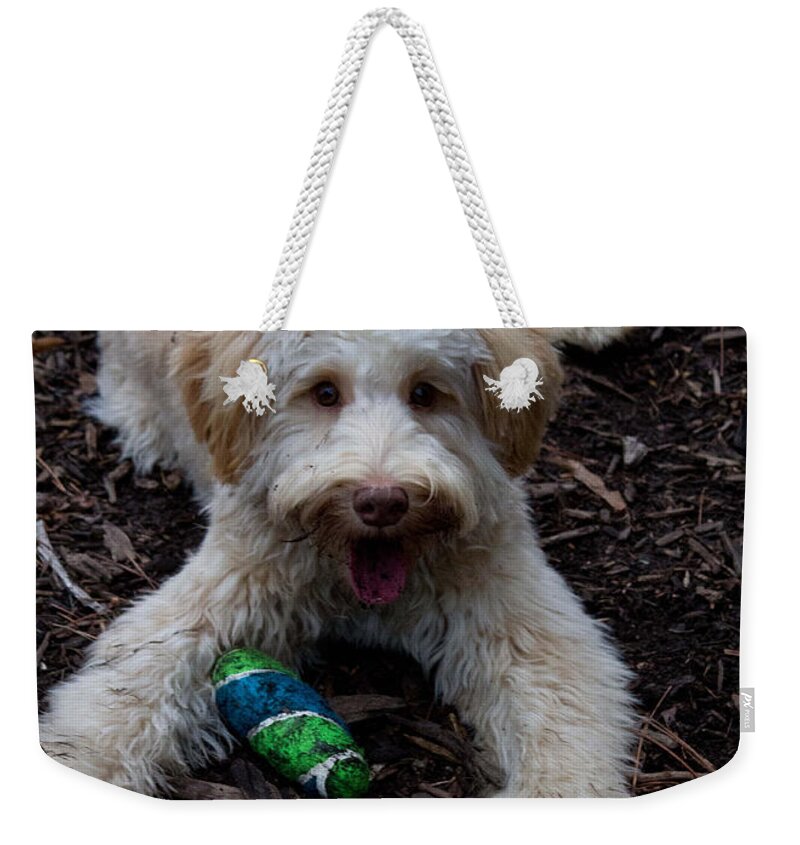 White Weekender Tote Bag featuring the photograph Labradoodle at Play by Sandra Clark