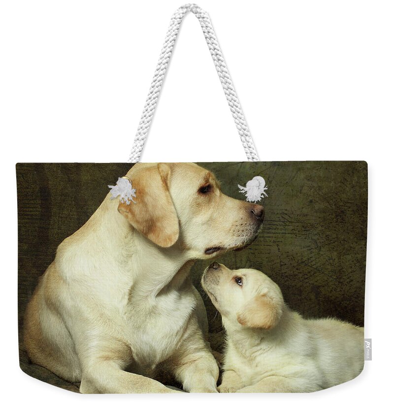 Pets Weekender Tote Bag featuring the photograph Labrador Dog Breed With Her Puppy by Sergey Ryumin