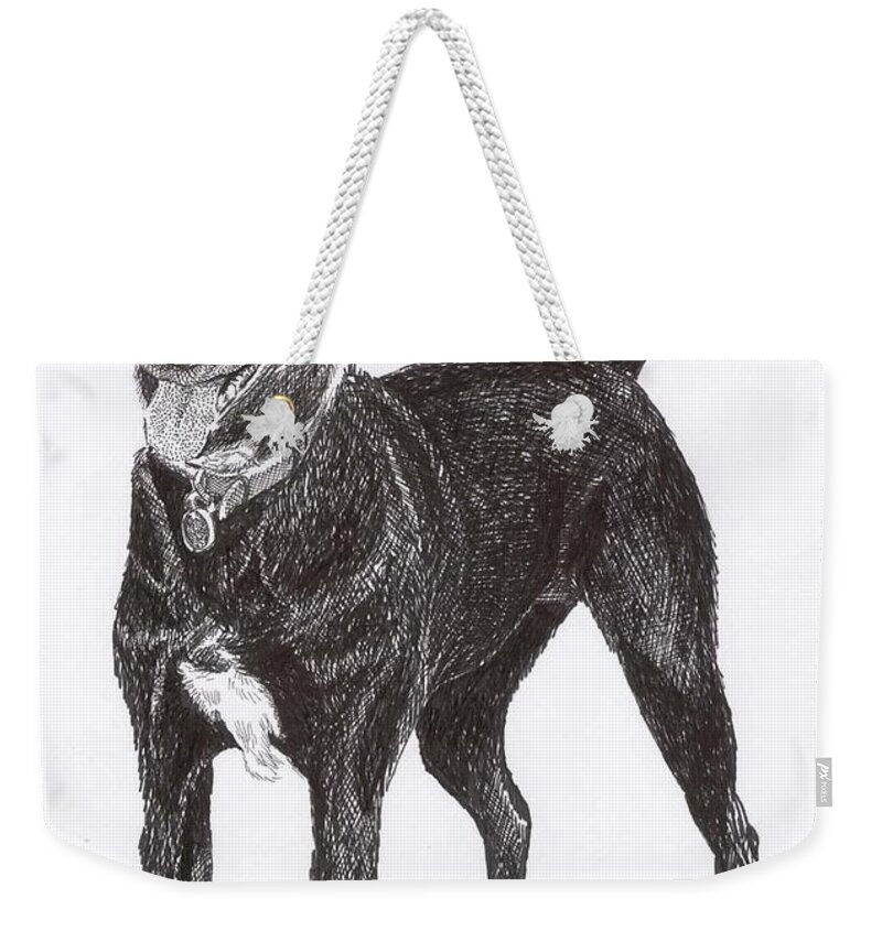 Priced Starting At $ 100.00 To $ 125.00 Framed Prints Of Man�s Best Friend. Framed Pen & Ink Art Of Winer Dogs. Ink Art Of Pets. Art Of Dogs And Cats.sue's Dog Drawn In Pen & Ink. Weekender Tote Bag featuring the drawing Here is Once OWN SEE by Jack Pumphrey