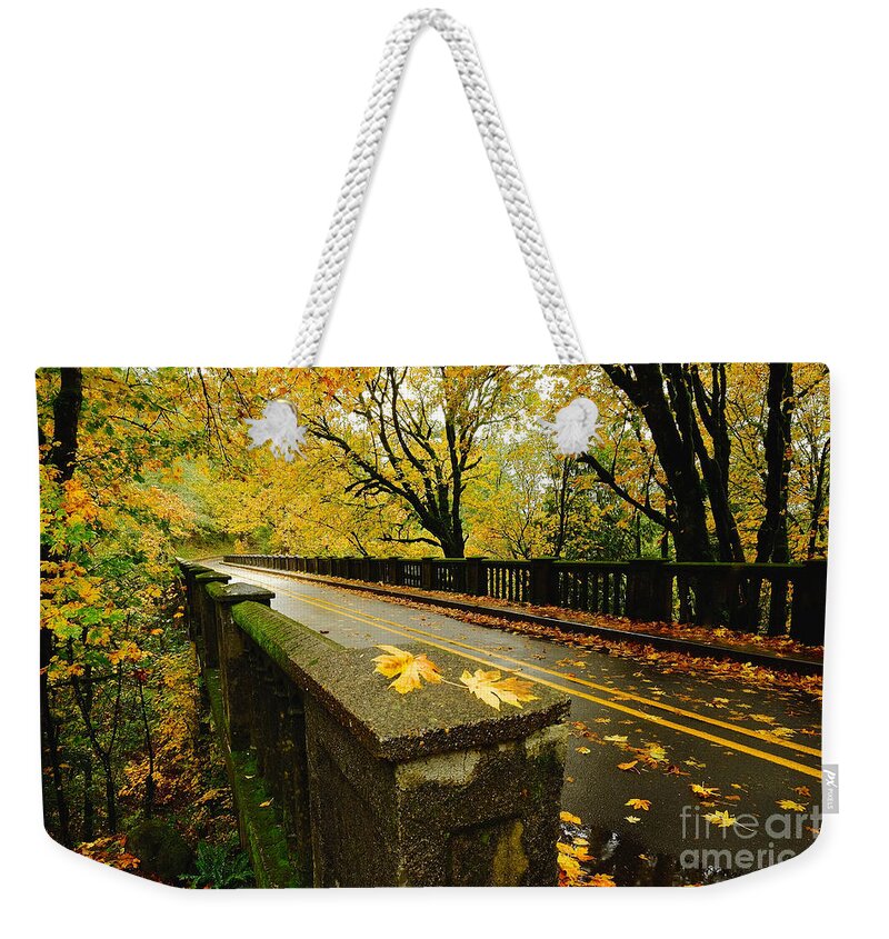 Tree Weekender Tote Bag featuring the photograph Leaves of Gold by Parrish Todd