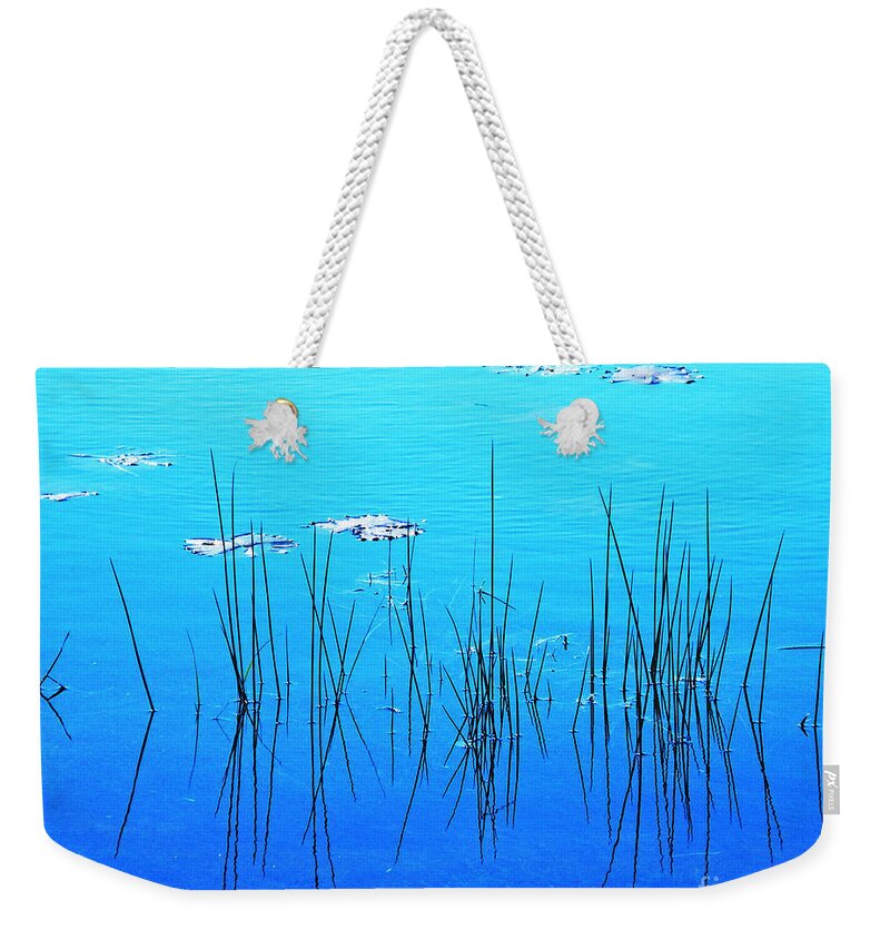 Water Weekender Tote Bag featuring the digital art Lacassine Pool Reeds by Lizi Beard-Ward