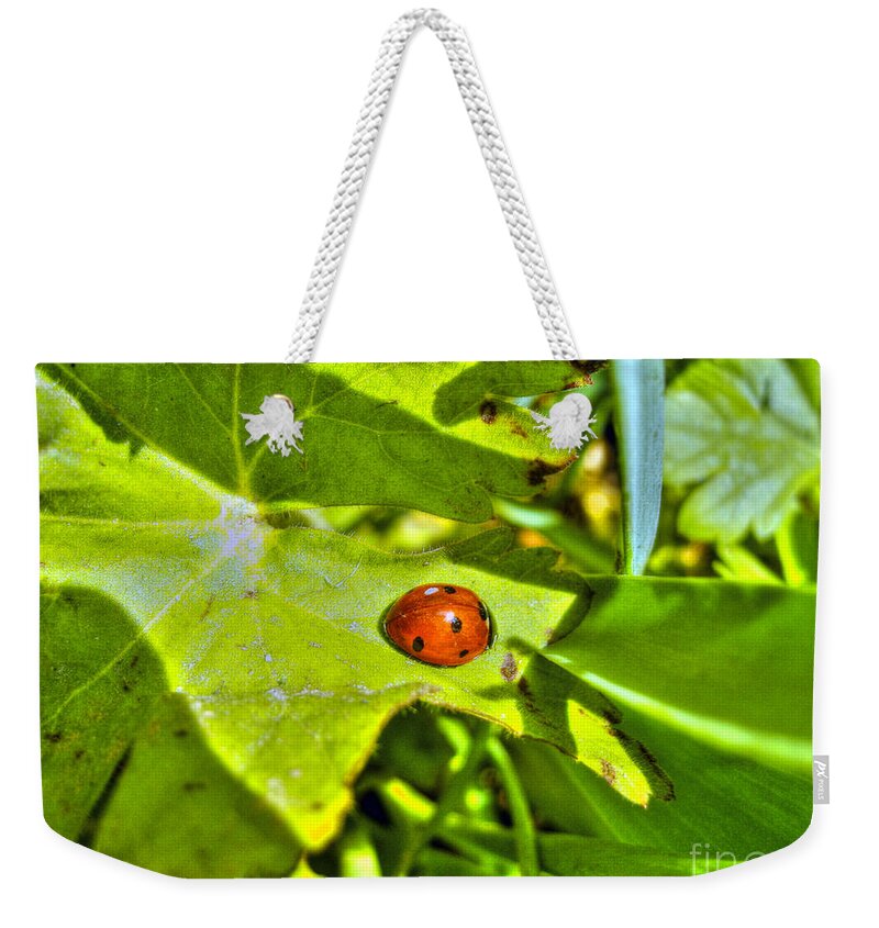 Bug Weekender Tote Bag featuring the photograph Ladybug by Nina Ficur Feenan