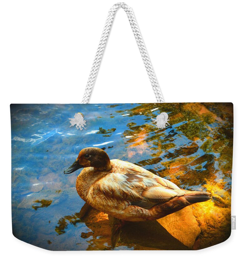 Lake Ducks Weekender Tote Bag featuring the photograph Lake Duck Vignette by Stacie Siemsen