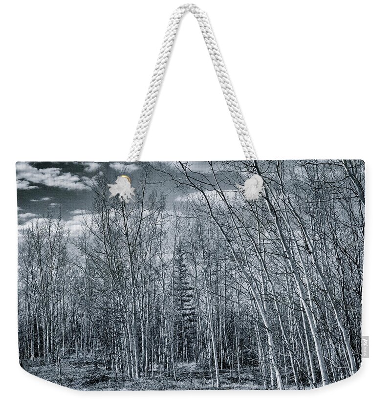  Weekender Tote Bag featuring the photograph Land Shapes 22 by Priska Wettstein