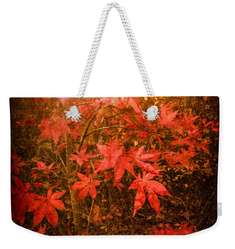 Fall Weekender Tote Bag featuring the photograph Last Color of Autumn by Frank Winters