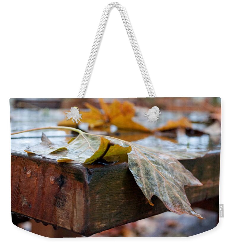 Fall Weekender Tote Bag featuring the photograph Last of the Leaves by Gwyn Newcombe