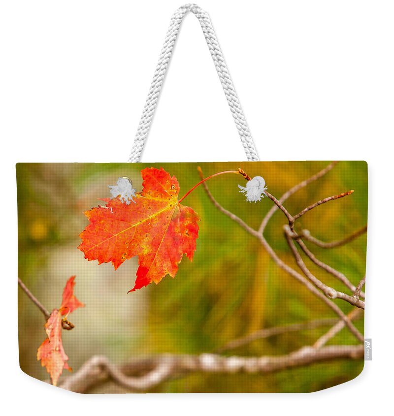 2013 Weekender Tote Bag featuring the photograph Last to Drop by Melinda Ledsome