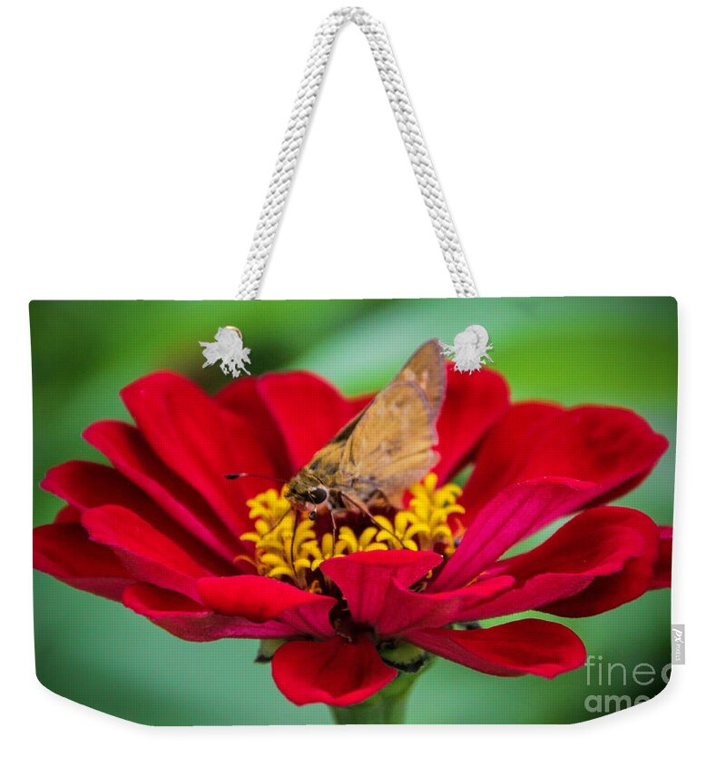 Red Zinnia Flower Weekender Tote Bag featuring the photograph Lasting Affection by Elizabeth Winter