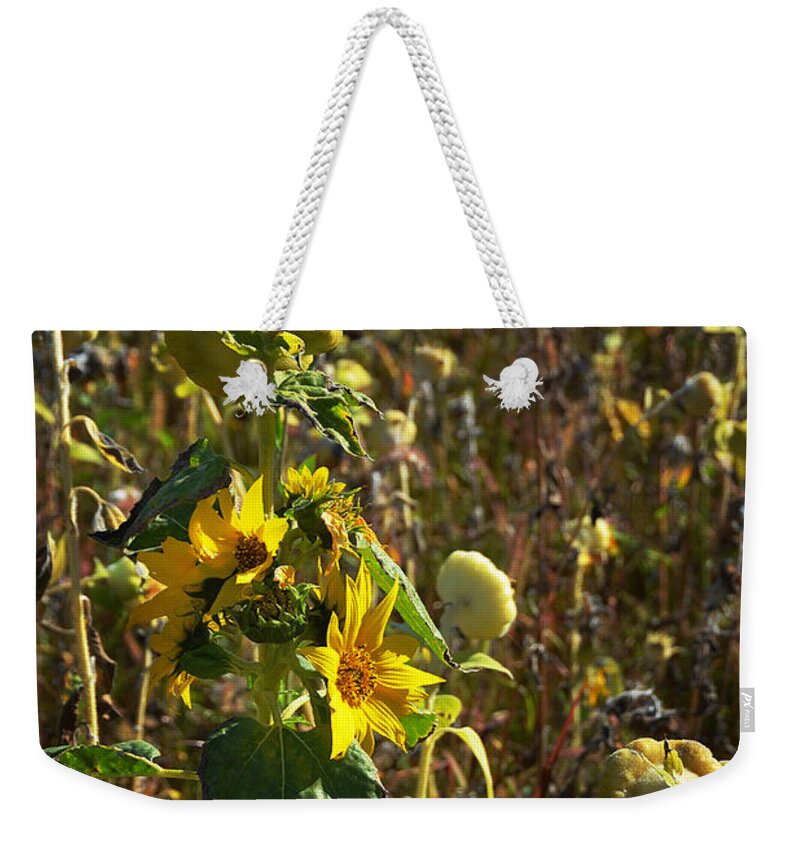 Sunflower Weekender Tote Bag featuring the photograph Late Bloomer by Carla Parris