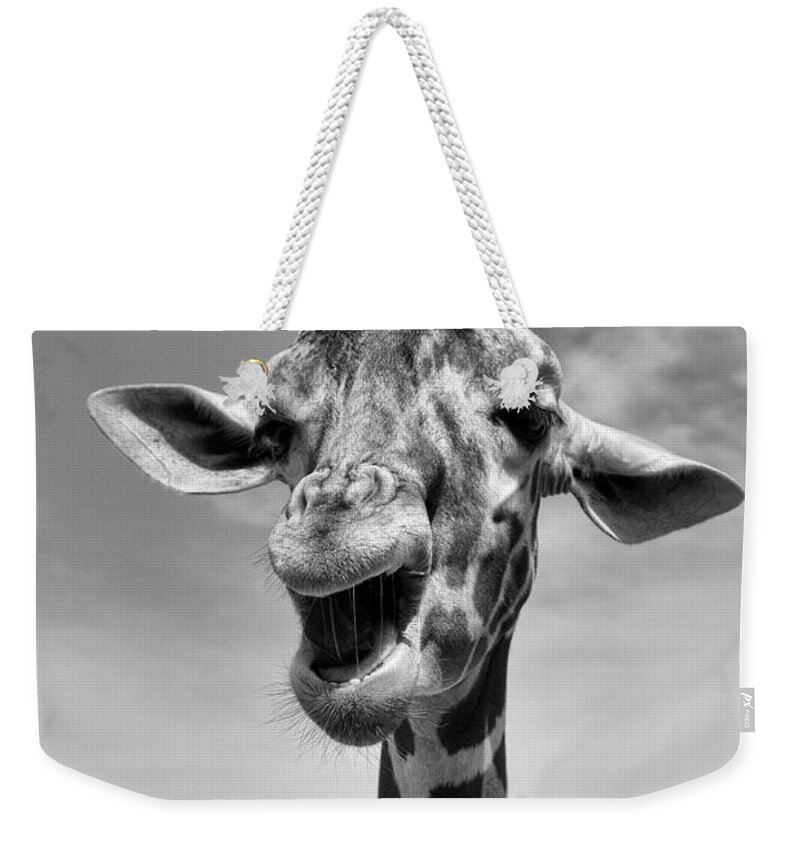 Giraffe Weekender Tote Bag featuring the photograph Laughing Giraffe Black and White by Jim And Emily Bush