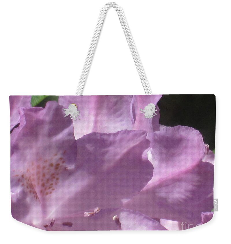 Floral Weekender Tote Bag featuring the photograph Lavender Blaze by Tara Shalton