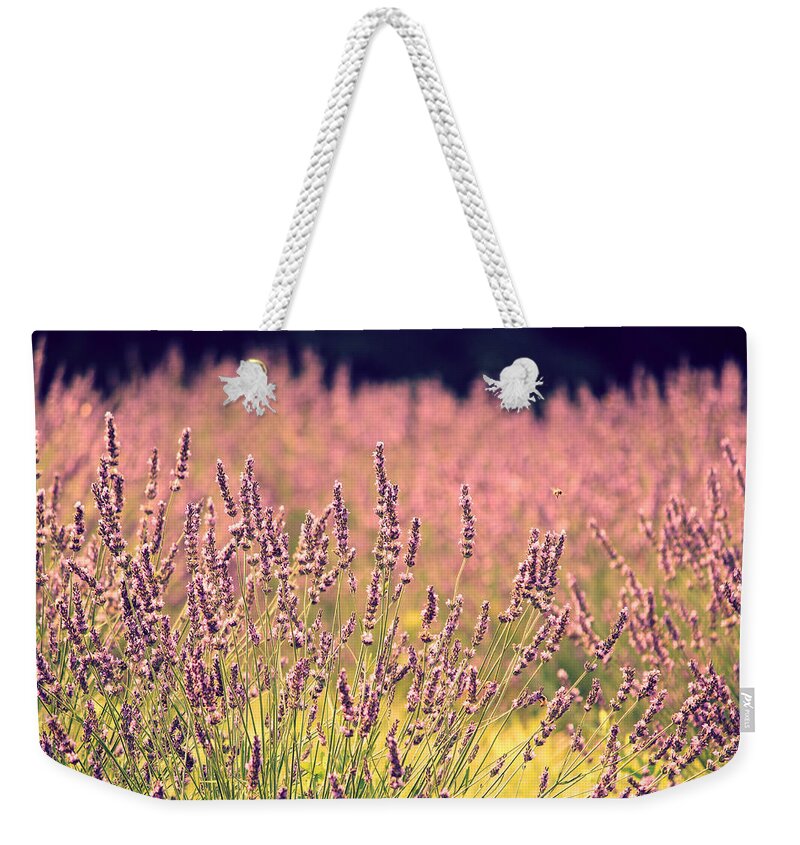 Lavender Weekender Tote Bag featuring the photograph Lavender Dreams by Lynn Sprowl