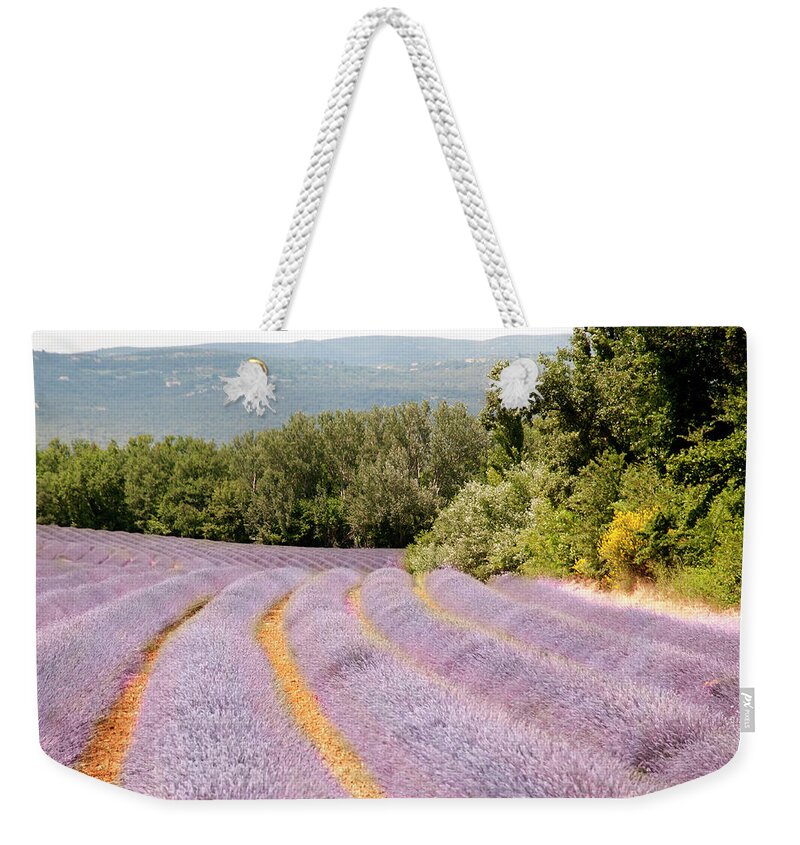 Tranquility Weekender Tote Bag featuring the photograph Lavender Field In Provence, France by Copyright By Bert Kohlgraf