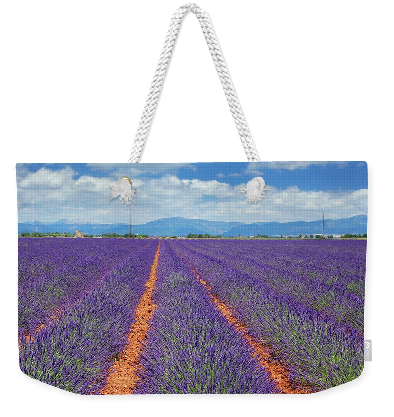 In A Row Weekender Tote Bag featuring the photograph Lavender Fields In Provence by Mammuth