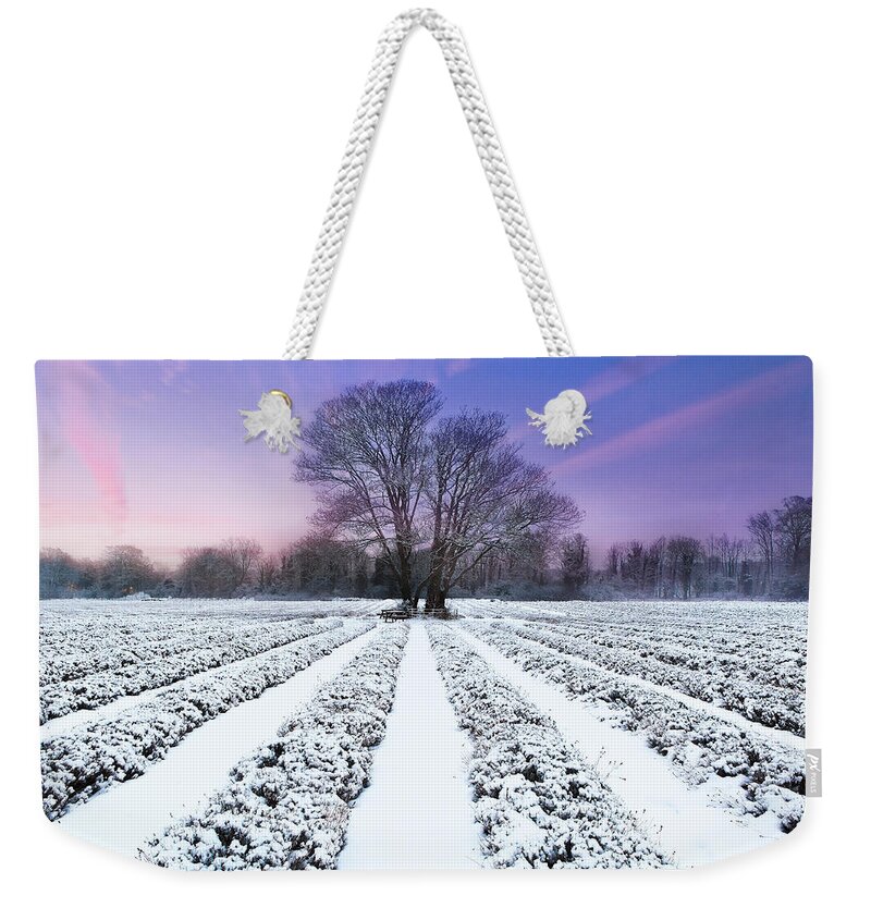Tranquility Weekender Tote Bag featuring the photograph Lavender In Winter by Getty Images