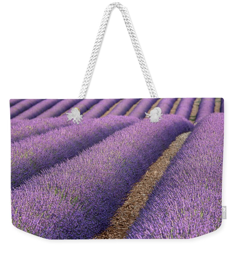 Tranquility Weekender Tote Bag featuring the photograph Lavender Plants In Field by Michele Berti
