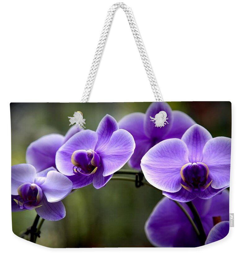 Purple Orchids Weekender Tote Bag featuring the photograph Lavender Rainbow by Karen Wiles